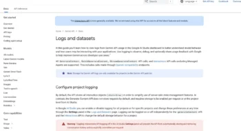 Gemini API Logs: Debug More Without Retaining More Than You Mean To